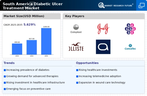 South America Diabetic Ulcer Treatment Market Infographic