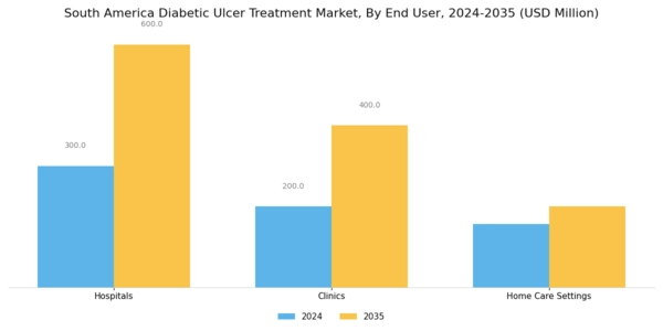 South America Diabetic Ulcer Treatment Market Segment Image 1