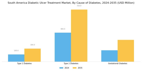 South America Diabetic Ulcer Treatment Market Segment Image 2