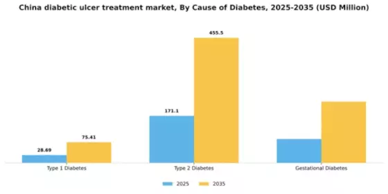 China Diabetic Ulcer Treatment Market Segment Image 0