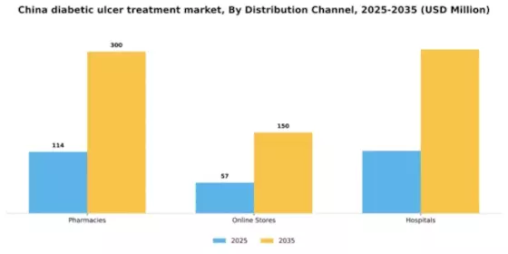China Diabetic Ulcer Treatment Market Segment Image 1