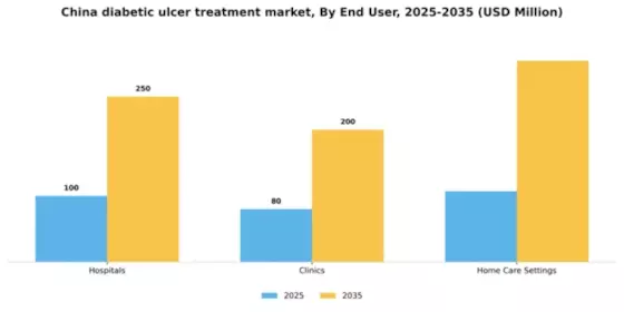 China Diabetic Ulcer Treatment Market Segment Image 2
