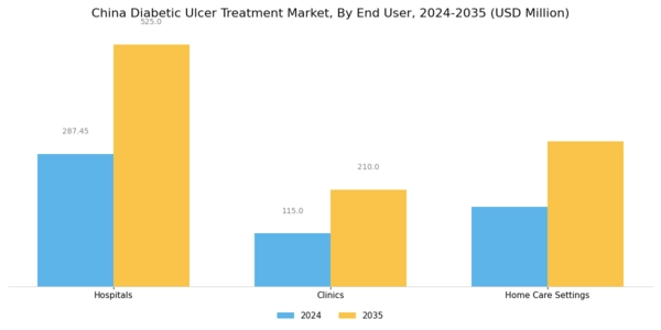 China Diabetic Ulcer Treatment Market Segment Image 1