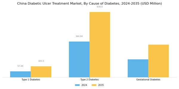 China Diabetic Ulcer Treatment Market Segment Image 2