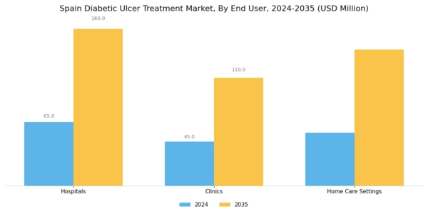 Spain Diabetic Ulcer Treatment Market Segment Image 1