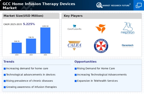 GCC Home Infusion Therapy Devices Market Infographic