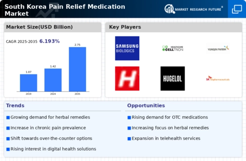 South Korea Pain Relief Medication Market Infographic