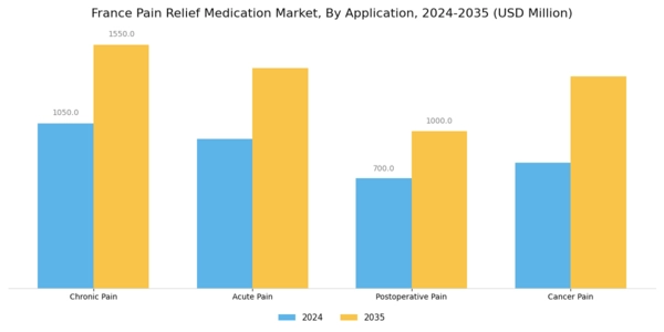 France Pain Relief Medication Market Segment Image 0