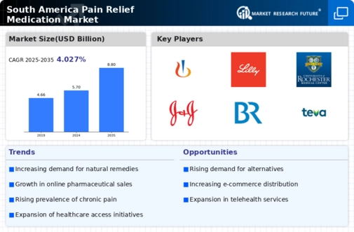 South America Pain Relief Medication Market Infographic