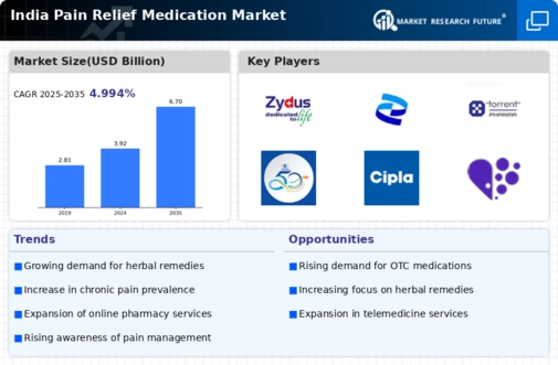 India Pain Relief Medication Market Infographic