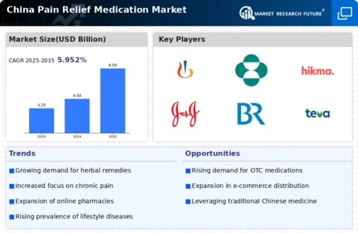 China Pain Relief Medication Market Infographic
