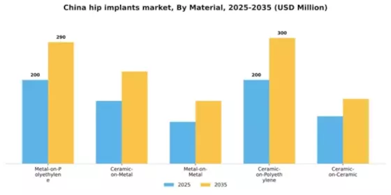 China Hip Implants Market Segment Image 1