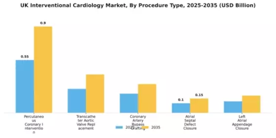UK Interventional Cardiology Market Segment Image 3
