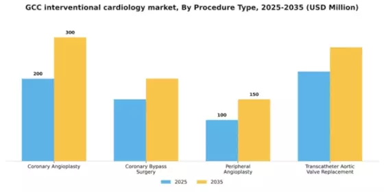 GCC Interventional Cardiology Market Segment Image 2