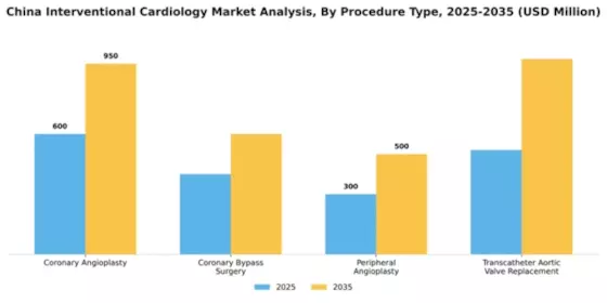 China Interventional Cardiology Market Segment Image 2
