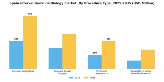 Spain Interventional Cardiology Market Segment Image 2