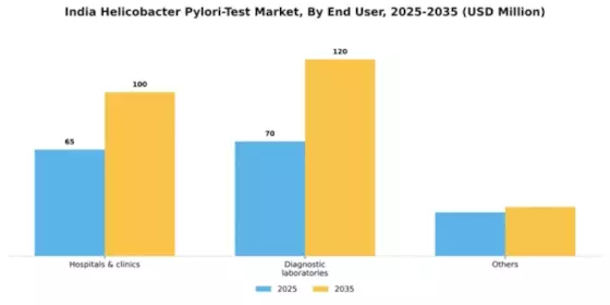 India Helicobacter Pylori Test Market Segment Image 0