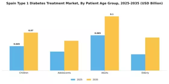 Spain Type 1 Diabetes Treatment Market Segment Image 2