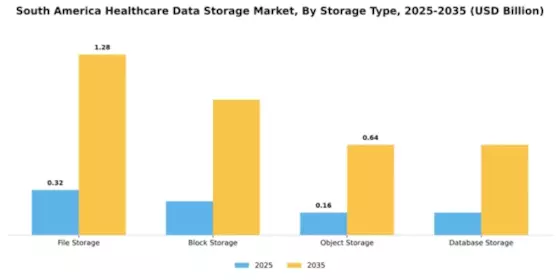 South America Healthcare Data Storage Market Segment Image 4
