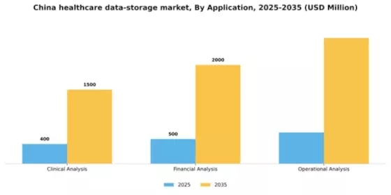 China Healthcare Data Storage Market Segment Image 0