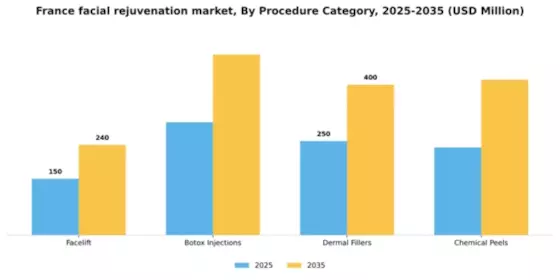 France Facial Rejuvenation Market Segment Image 0