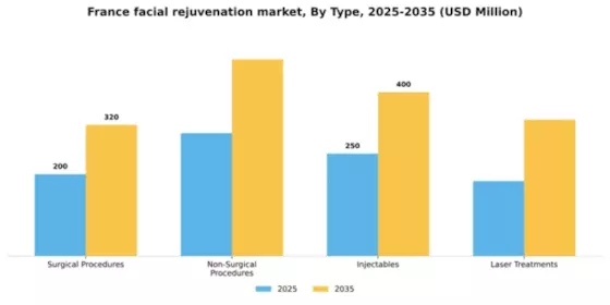 France Facial Rejuvenation Market Segment Image 3