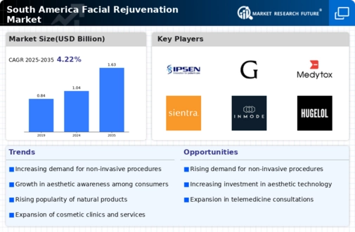 South America Facial Rejuvenation Market Research Report- Forecast to 2035 Infographic
