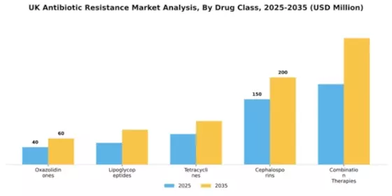 UK Antibiotic Resistance Market Segment Image 1
