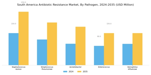 South America Antibiotic Resistance Market Segment Image 2