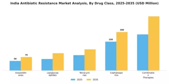 India Antibiotic Resistance Market Segment Image 1