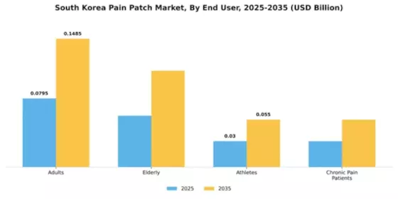 South Korea Pain Patch Market Segment Image 2