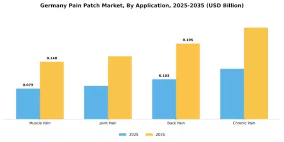 Germany Pain Patch Market Segment Image 0