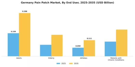 Germany Pain Patch Market Segment Image 2