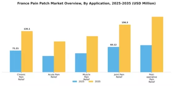 France Pain Patch Market Segment Image 0