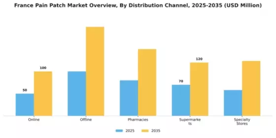 France Pain Patch Market Segment Image 1