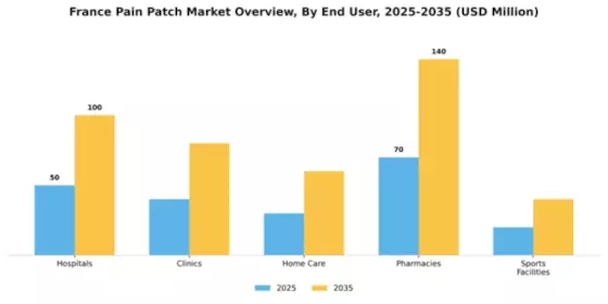France Pain Patch Market Segment Image 2