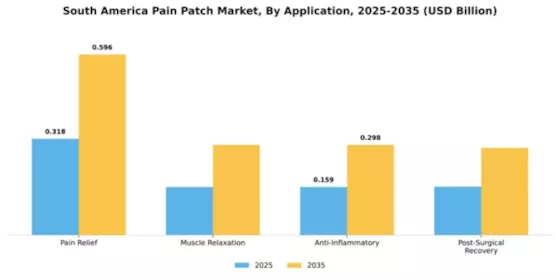 South America Pain Patch Market Segment Image 0