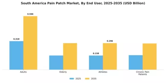 South America Pain Patch Market Segment Image 2