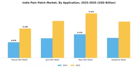 India Pain Patch Market Segment Image 0