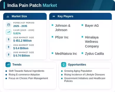 India Pain Patch Market Infographic