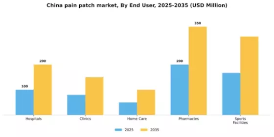 China Pain Patch Market Segment Image 2