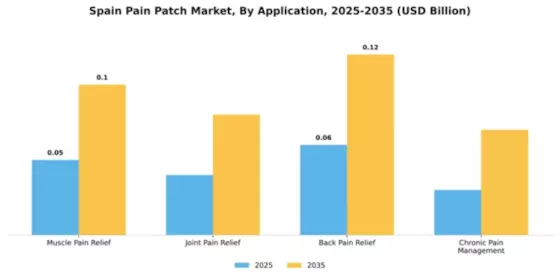Spain Pain Patch Market Segment Image 0