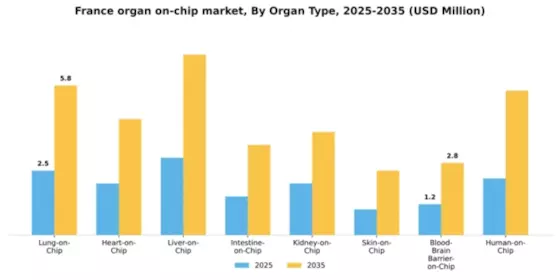 France Organ On Chip Market Segment Image 2