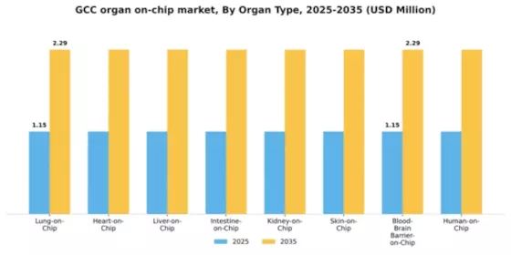 GCC Organ On Chip Market Segment Image 2