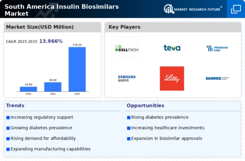 South America Insulin Biosimilars Market Infographic