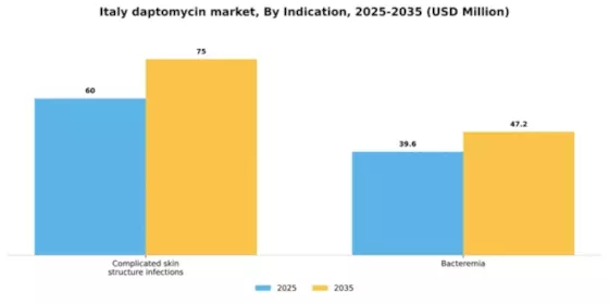 Italy Daptomycin Market Segment Image 1