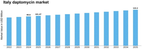 Italy Daptomycin Market Size