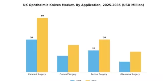 UK Ophthalmic Knives Market Segment Image 0