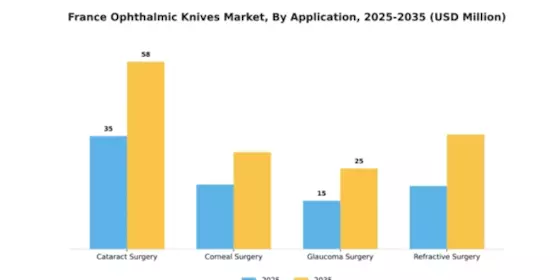 France Ophthalmic Knives Market Segment Image 0