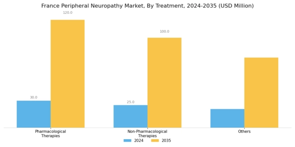 France Peripheral Neuropathy Market Segment Image 1